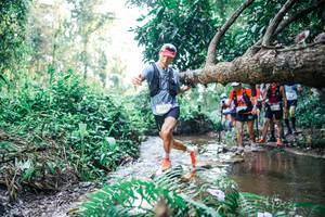 BIB: 
                            <button type="button" onclick="openModal(25454310)" class="btn btn-primary btn-sm float-right btn-popup" data-toggle="modal" data-target=".modal-high-quality">
                        <i class="fas fa-shopping-cart"></i> Add to Cart
                    </button>
                                            <button type="button" onclick="isThisMe(25454310, true)" class="btn btn-success btn-sm float-right btn-popup btn-isme hidden" data-toggle="tooltip" data-placement="bottom" title="นี่คือรูปของคุณใช่ไหม คลิกที่นี่เพื่อเอาเข้าอัลบั้ม">
                        <i class="fas fa-plus"></i> Add to album
                    </button>
                    <button type="button" onclick="isThisMe(25454310, false)" class="btn btn-warning btn-sm float-right btn-popup btn-isnotme hidden">
                        <i class="fas fa-ban"></i> Remove from album
                    </button>